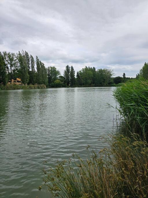 Appartement 50M2 Village Vacances Arles Eksteriør billede